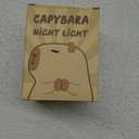 Capybara Night Light Cartoon Silicone Nightlight Rechargeable Bedside Lamp Xmas Birthday Gift for Kid's Room Living Room (Pink)