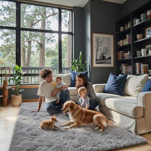 Ultra Soft Rug for Living Room, 70" x 95", Grey Shag Area Rugs for Living Room, Modern Shaggy Carpets for Teens Dorm Nursery Home, Non Slip Indoor Rugs Floor Carpet(70" x 95", Light Grey)