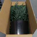FOTEEWL Artificial Ferns Potted Plant for Front Door Decoration - 2 Sets UV Resistant Realistic Bush Faux Greenery Fern Potted Fake Plants for Home Garden Porch Farmhouse Decor