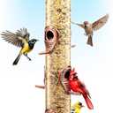 Bird Feeders for Outdoors (Brushed Metal Copper) Squirrel Proof Hanging Bird Feeders with Locking Lid & Adjustable Hanger, Chew-Proof, Weather Resistant 16 Inches 6 Port