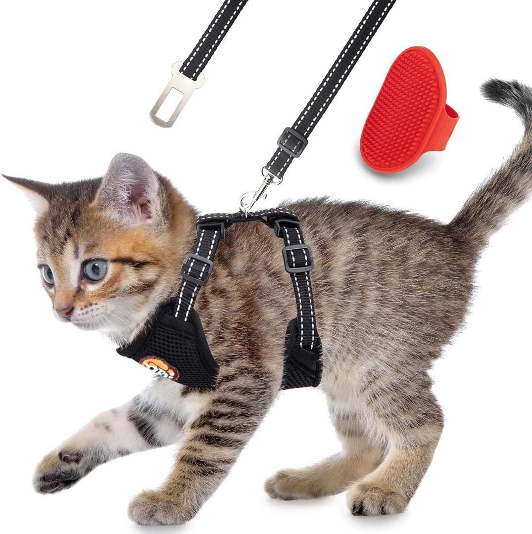 AWOOF Reflective Kitten Harness and Leash Escape Proof with Car Seat Belt, Adjustable Cat Puppy Walking Jacket with Metal Leash Ring, Soft Breathable Small Pet Vest (S)