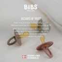 Bibs Colour Pacifier 2-Pack | BPA Free Soother, Round Nipple. Natural Rubber Latex, Size 1