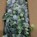 DearHouse Faux Eucalyptus Garland Plant, 2 Pack Artificial Vines Hanging Eucalyptus Leaves Greenery Garland for Wedding Backdrop Arch Wall Decor, 6 Feet/pcs UV Protected Indoor Outdoor