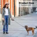 Dog Leash with Hooks Stainless Steel, Water Chew Proof for Medium and Small Dogs 4FT Wire Alloys Camping with Soft Handle(Black 4FT)