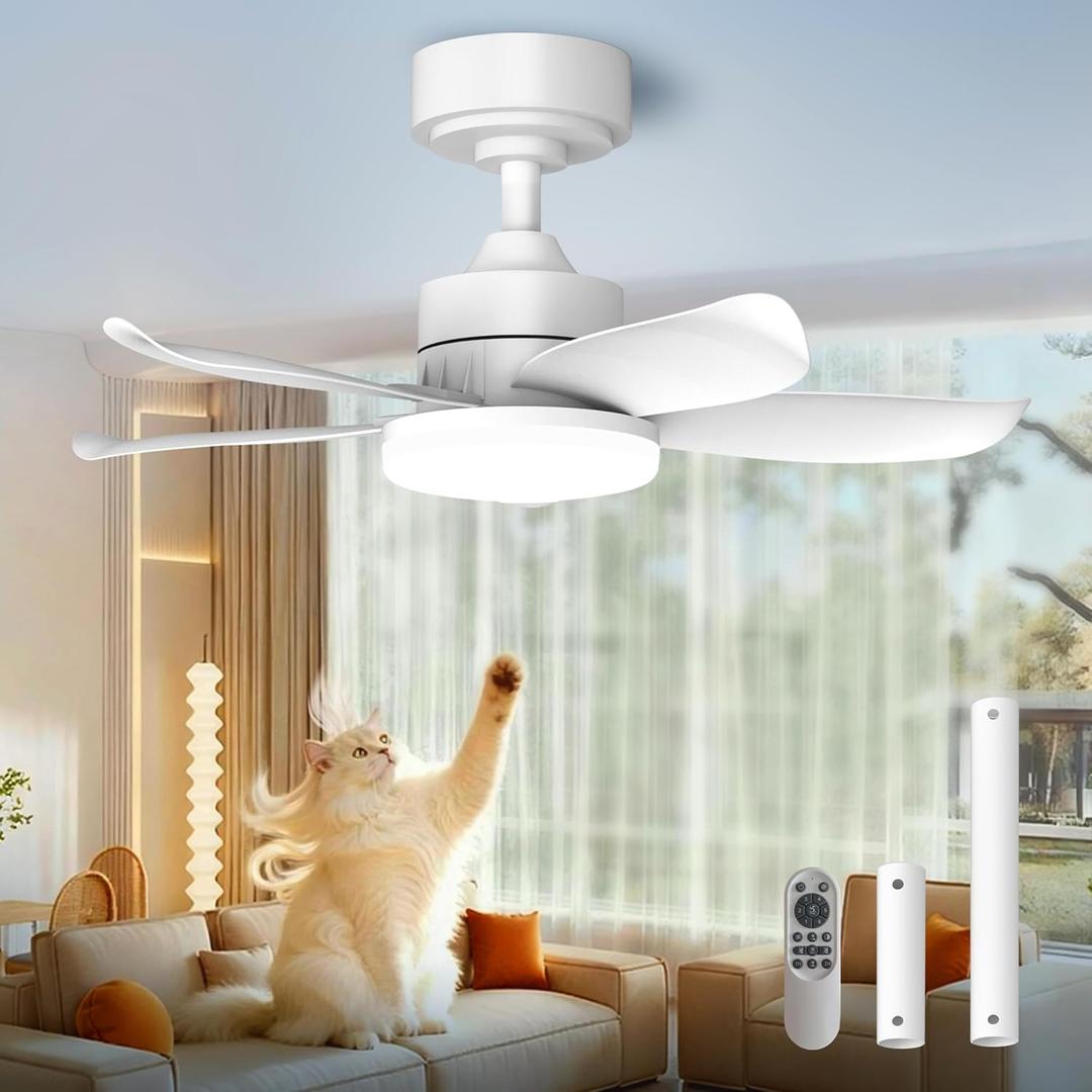 25 Inch Flush Mount Ceiling Fan with Light and Remote, Low Profile Modern Ceiling Fan, 6 Speed, Reversible, 3000k-6500k Dimmable LED, Quiet DC Motor for Indoor Outdoor, White