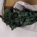 Real Eucalyptus Stems Greenery Decor 20PCS 17" Dried Willow Eucalyptus Plant Preserved Greenery Stems for Home Vase Filler Wedding Flowers Arrangement Spring Decorations