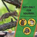 Squirrel Repellent Outdoor, Squirrel Repellent for Attic, Chipmunk Repellent Outdoor, Keep Squirrels Out of Potted Plants, Squirrel Deterrent for Garden-8 Packs