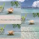 Handmade Natural Scented Candles - Conch Shell Soy Wax Candles Scented with Essential Oils, Home Scented Candles, Birthday, Christmas, Thanksgiving, Mother's Day, Stress Relief Gifts for Women