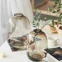 GeLive Brown Glass Vase Round Clear Colored Flower Vase for Centerpiece Long Stem Branch Fresh Artificial Plant Bottle Modern Home Indoor Decoration (Brown)