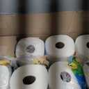 Bounty Paper Towels Quick Size, White, 16 Family Rolls = 40 Regular Rolls (16 Rolls (107 Sheets each))