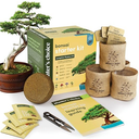 Bonsai Starter Kit  Gardening Easter Gift for Women & Men  Bonsai Tree Growing Garden Crafts Hobby Kits for Adults, Unique DIY Hobbies for Plant Lovers  Unusual Christmas Gifts Ideas