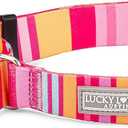 Lucky Love Dog, Colorful Stripes Martingale Dog Collar, Yellow, Pink, Blue Color No Slip Dog Collar - (Small, Molly Martingale) (Small Collars (10-15"))