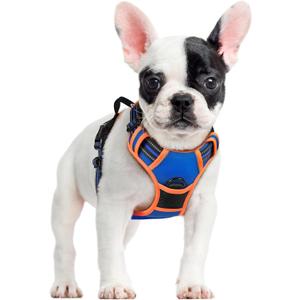 rabbitgoo Dog Harness No Pull with 2 Leash Clips, Adjustable Soft Padded, Reflective Oxford No Choke Pet Vest with Easy Control Handle for Small Dogs, Blue & Orange, Small rabbitgoo Dog Harness No Pull with 2 Leash Clips, Adjustable Soft Padded, Reflective Oxford No Choke Pet Vest with Easy Control Handle for Small Dogs, Blue & Orange, Small