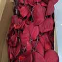 41in Orchids Artificial Flowers Faux Orchid 6PCS Velvet Silk Orchids That Look Real Long Stem Artificial Flowers for Tall Vase for Home Wedding Party Fall Dcor (Burgundy)
