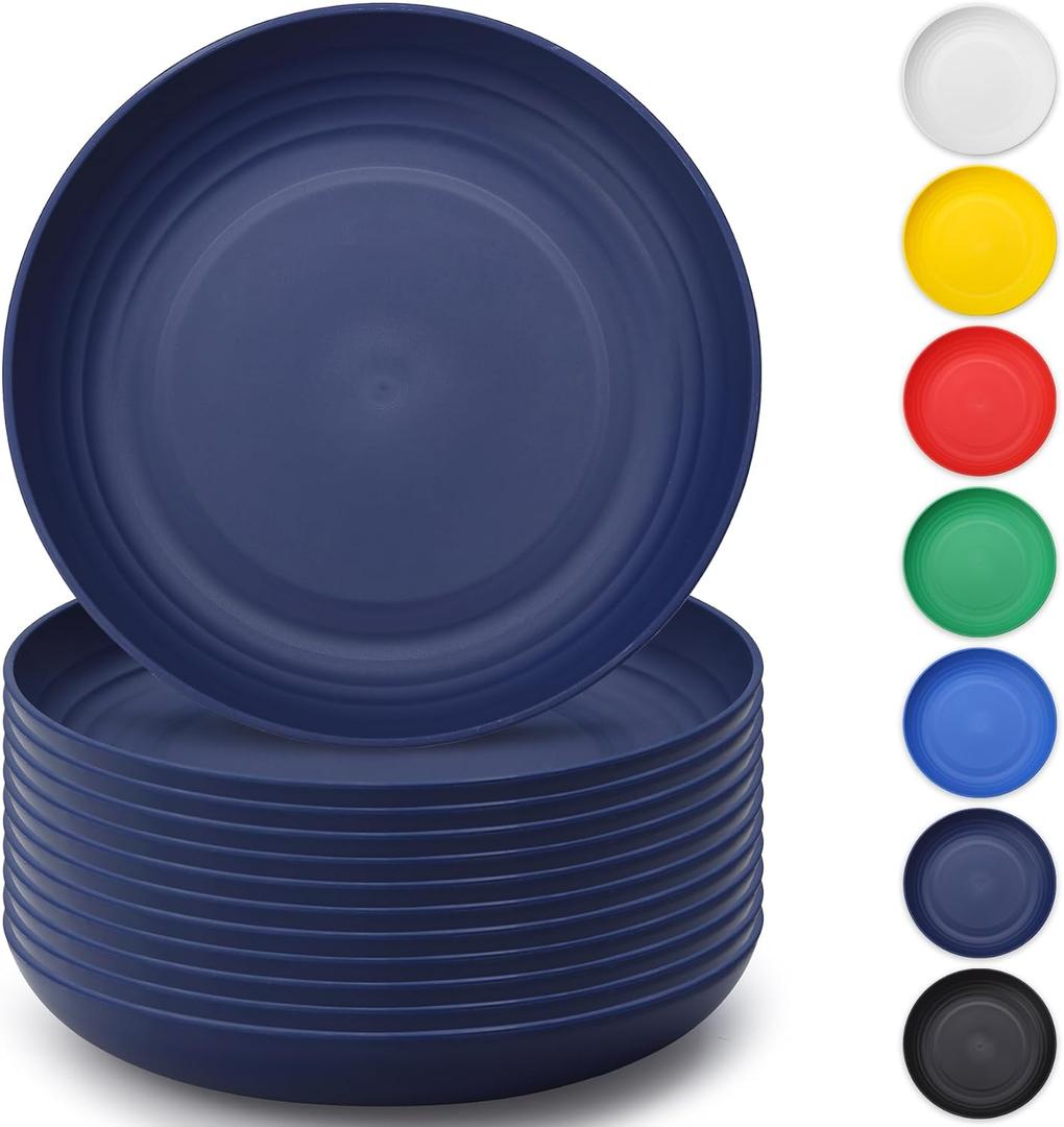 Berglander EUR Blue Plastic Plates Set of 12 Pieces 9", Reusable and Sturdy Unbreakable Dinner Plates, Salad Plates, Pasta Bowls, Dishes for Home, Kid, Light Weight Easy Carry for Picnic, Camping (8. EUR Color)