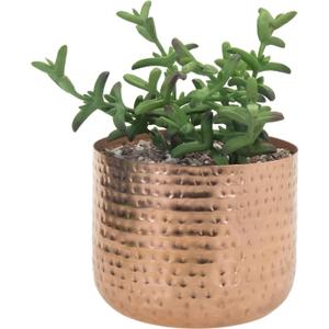 MyGift 6 Inch Copper Tone Metal Plant Pot with Hammered Design, Decorative Small Succulent Planter - Handcrafted in India