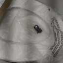 KOHLER Stonewood Quiet-Close, Elongated Toilet Seat Soft Close, Durable Wood, Easy Installation, Universal Fit, Home Essentials, White Finish, K-20466-0