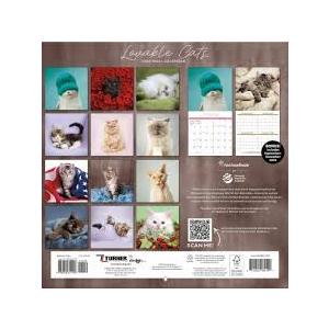 2026 Lovable Cats Wall Calendar