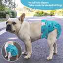 CuteBone Washable Dog Diapers Female No Tail Hole 3 Pack Reusable Doggie Period Training Pants for Docked-Tail Frenchie French Bulldog Boston Terrier Without Tail, Medium