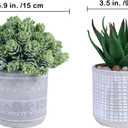 Set of 3 Assorted Small Potted Succulent Plants Fake Aloe String of Pearls Hops Succulents in Gray Geometric Concrete Ceramic Pots for Gifts Modern Home Office Desk Table Indoor Outdoor Greenery Decor