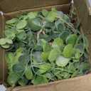 Nisoger Artificial Hanging Plants Small Fake Potted Plants, Faux Plants for Indoor Outdoor Aesthetic Office Living Room Shelf Decor (Green)