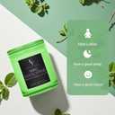 Mint Eucalyptus Scented Candle, 2-Wick Luxury Soy Wax Candle, 9 oz Aromatherapy Candle Home Fragrance Candles Gift