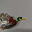 Cute Mallard Hair Clips,Funny Acetate Bird Claw Clip,Small Claw Clip for Women