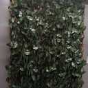 Expandable Fence Privacy Screen for Balcony Patio Outdoor,Decorative Faux Ivy Fencing Panel,Artificial Hedges (Single Sided Leaves) (Dark Green)