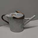Megawodar 1 Gallon Metal Watering Can with Removable Spout, Nice Galvanized Steel Water Can with Embossed Design for Indoor and Outdoor Plants