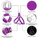 Plutus Pet Step in Dog Harness, Reflective, Adjustable, and Secure with Metal Buckles, Quick Fit Dog Harness for Puppy, Small, Medium and Large Dogs, Purple, S