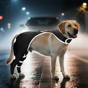 Dog Hind Leg Sleeve to Stop Licking  Breathable Rear Leg Brace with Back Buckle for Wound Protection, Reflective Recovery Sleeve, Cone Alternative  Size XS (Black, XS)