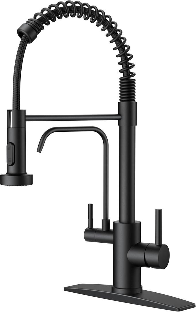 FORIOUS Black Kitchen Faucet with Purfied Water Filter, Pull Down Sprayer