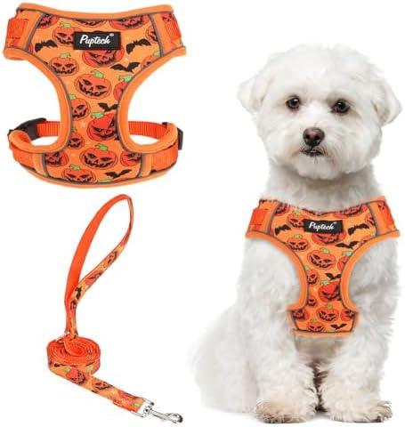 PUPTECK Small Dog Harness and Leash Set, No Pull Adjustable Puppy Cat Harness, Reflective Soft Mesh Pet Vest Small Sized