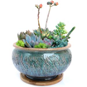 Ceramic Plant Pot with Drainage Hole and Tray, Succulent Holder, Bonsai, Flower Vase, Garden Decorative for Snake Plant, Aloe, Oxalis