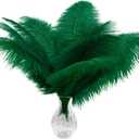 Piokio 20pcs Natural Blackish Green Ostrich Feathers 10-12 inch (25-30cm) Bulk Feathers for Home Decoration and DIY Clothing and DIY Clothes Decoration, Gatsby Decorations