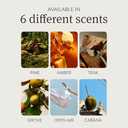 Drift Metal Vent Clip Starter Kit - Car Air Freshener - Scent Diffuser for Car - Metal Odor Eliminator - Cabana