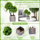 Small Fake Plants with Marble Planter, Fake Potted Plants Artificial Decor for Coffee Table Desk Shelf, 11.81" Faux Plants Indoor for Living Room Bathroom Bedroom Entryway Office