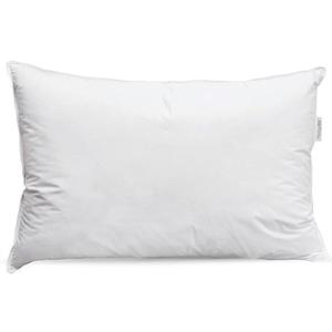 Luxury White Goose Feather & Down Pillow - 75% White Goose Feather & 25% White Goose Down 550 Fill Power (Standard (Pack of 1))