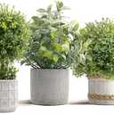 3 Pack Fake Plants in Cement Planter, Small Artificial Plants Indoor, Faux Boxwood Topiary Plants for Home Bathroom Kitchen Farmhouse Office Shelf Desk Room Decor