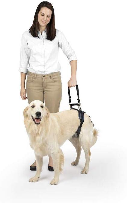 PetSafe CareLift Rear Support Harness - Lifting Aid with Handle and Shoulder Strap - Fits Waist Measuring 27-37 inches, Dog Weight 70lb-130lb, Large, Black