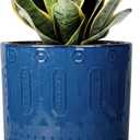 6 Inch Plant Pot - Ceramic Planter for Outdoor Plants Indoor Plant Pot with Drainage Holes and Saucer Succulent Pot Modern Round Flower Pot for House Room Decor Blue