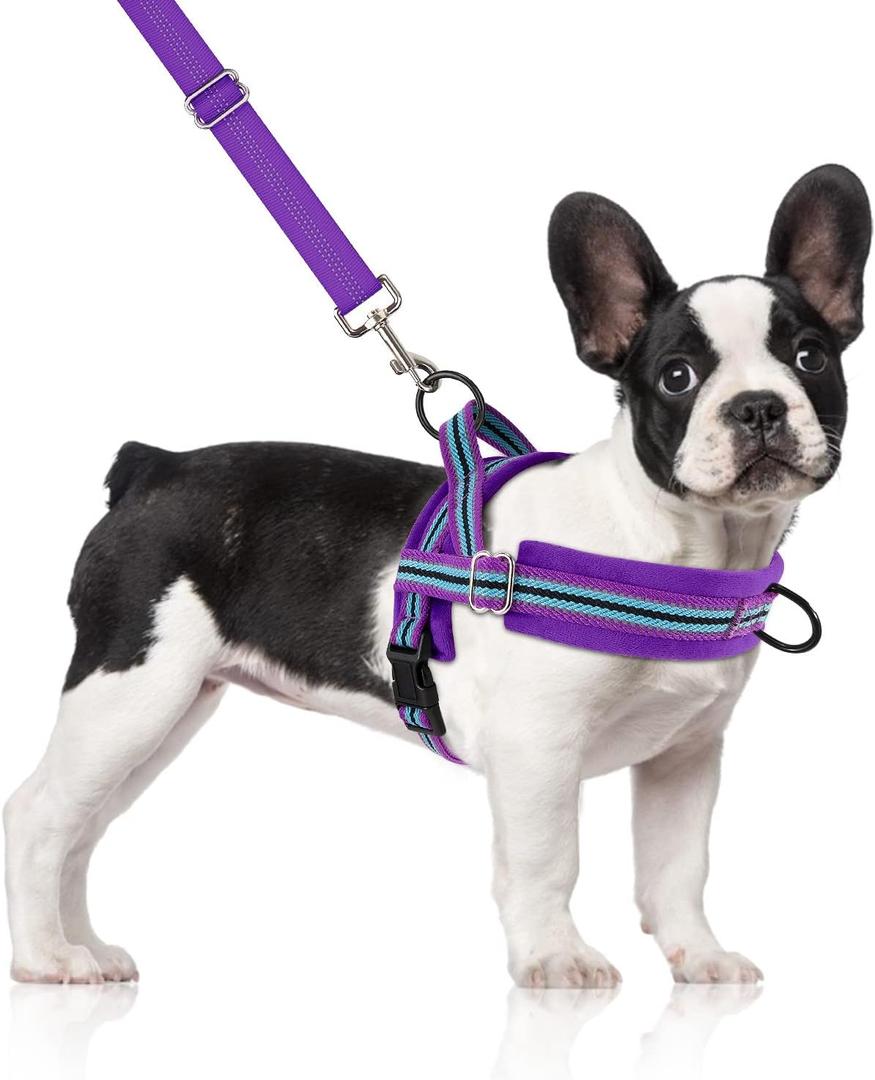 SlowTon No Pull Small Dog Harness and Leash Set, Puppy Soft Vest Harness Neck & Chest Adjustable, Reflective Lightweight & Anti-Twist Pet Lead Combo for Small Medium Dogs (PU-Front Clip, M)