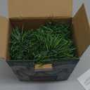 Biswing 15FT Pre-lit Christmas Green Garland Upgrade, Lighted Artificial Pine Garlands with 35 Count Clear Lights, Connectable & Light Up for Indoor Outdoor Home Winter Holiday New Year Decorations (Warm White)