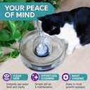 Brook Glass Pet Fountain (90oz/2.7L)  Cat Water Fountain & Small Dog Drinking Fountain  Automatic Water Dispenser Cat Fountain