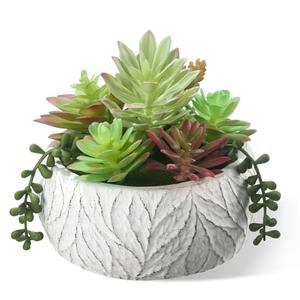 yel canby 6 Inch Artificial Succulent Plant in White Ceramic Pot - Realistic Fake Succulent for Home Office Desk Bathroom Decor Coffee Table Decor