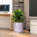 Eightpot Ceramic Plant Pots, 12 Inch Pots for Plants Indoor Outdoor, Round Planter with Drainage Hole and Tray, Modern Decorative Flower Pot, Home Apartment Decor, House Warming Gifts, Purple
