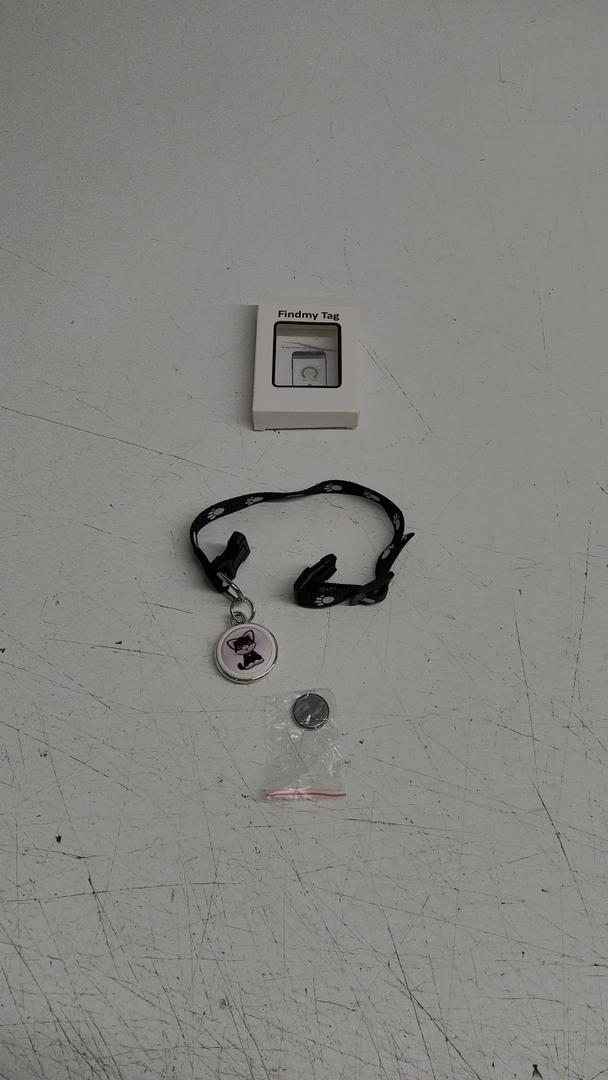 Pet Collar With Charm 