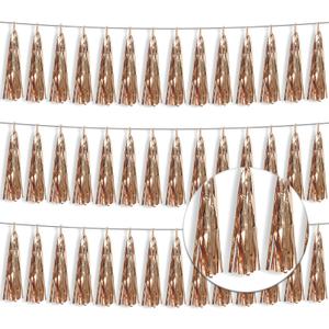 3P Metallic Fringe Tassel Banner Garland Foil Tinsel Streamer Wall Hanging Curtain Backdrop Banner for Parade Floats, Graduation Decorations, Wedding Party Decoration(Champagne Gold)