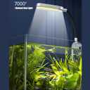 1.5 Gallon Fish Tank Starter Kits, Nano Glass Aquarium with Filter, Led Light for Aquascape DIY Small Betta Fish Tank