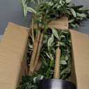 6ft Faux Olive Tree, Artificial Olive Tree Indoor, High Imitation Silk Plant Fake Olive Tree with Realistic Leaves and Fruits, Suitable for Home Living Room Office Decoration